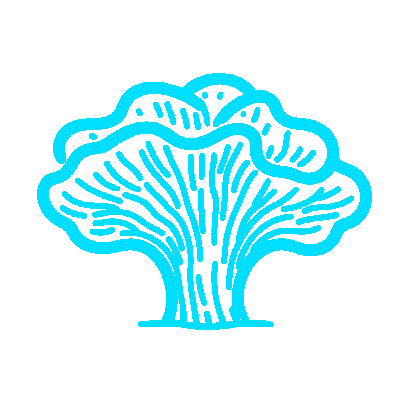 Logo 6